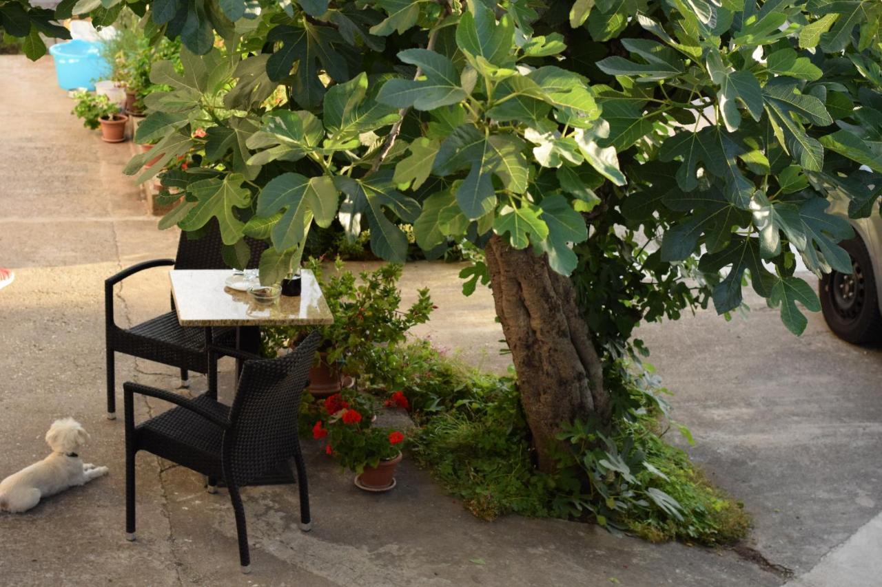 Studio Apartman Marina Vodice Exteriör bild