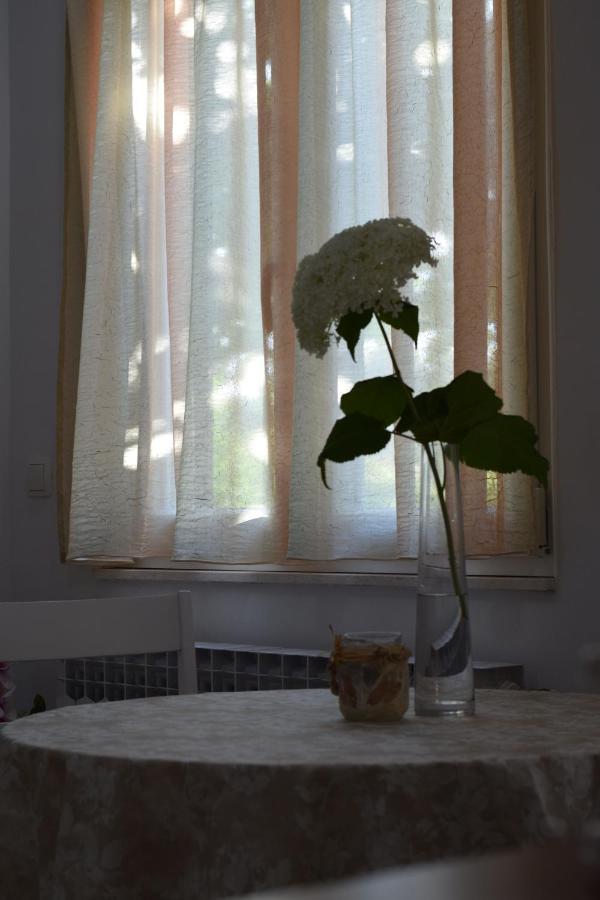 Studio Apartman Marina Vodice Exteriör bild